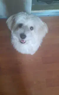 ۰۹۹۳۵۵۱۶۹۴۰