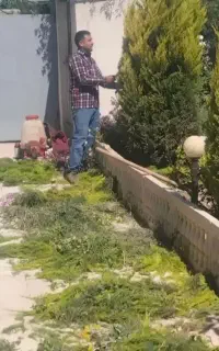 خدمات‌باغبانی‌وسمپاشی‌،پردیس،بومهن