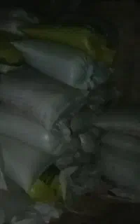 فروش جو بذری