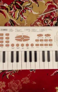 ارگ بچه گانه