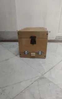 لونه عروس و طوطی سان