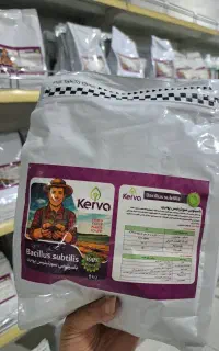 کود باسیلوس اصل/ ریشه قوی،گیاه مقاوم محصول باکیفیت