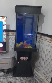 اکواریوم با تمام وسیله هاش