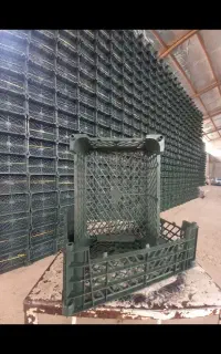 استخدام کارگر ساده و وسط کار  در کارخانه سبد