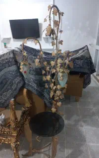 اباژور سالم
