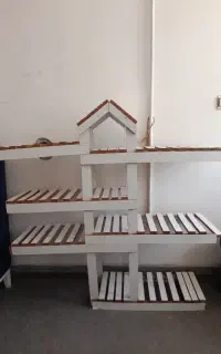 استند گل