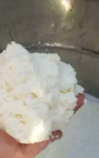 کره گوسفندی وگاوی