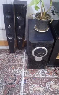 باند سانی