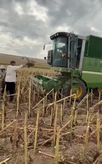 کمباین حبوبات نخود لوبیا بادام زمینی
