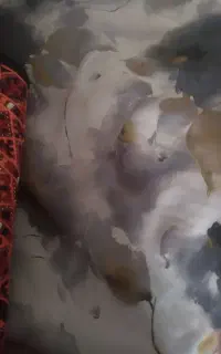 پارچه ساتن بهاره یک قواره