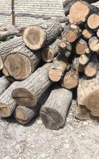 چوب بری رضوی