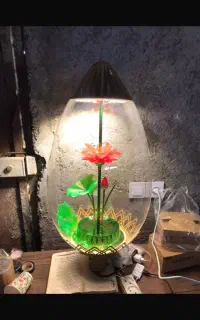 چراغ حیاطی و لوستر نو