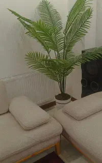 درختچه
