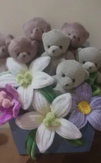 باکس گل و عروسک
