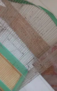 قفس