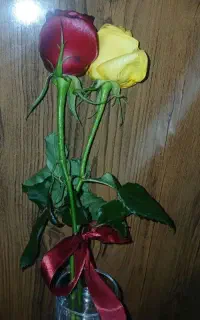 گل مصنوعی قشنگ و تکیز