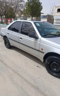 دربست داخل شهر بانوان