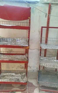 استندسوپری