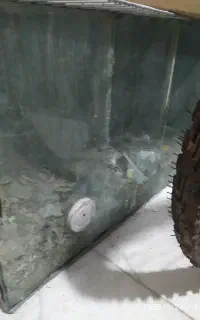آکواریوم
