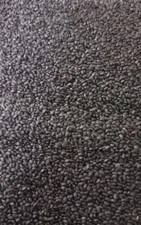 پخش عمده تخم شربتی وریحان ریز ودرشت ودانه چیاوغیره