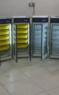 گواهی‌نامه بین‌المللی IMS/دستگاه جوجه کشی