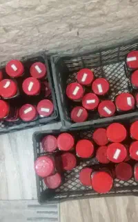 شیره خرماوشیره انگور