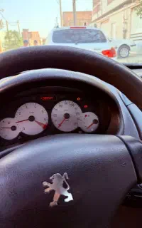 ۲۰۶ sd بیرنگ مدل ۹۴ فقط ۸۸ تا کار