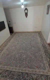 فرش ۱۲۰۰ شانه ۱۸ متری