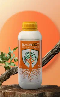 عکاسی محصول و ساخت ویدئو تبلیغاتی حرفه‌ای