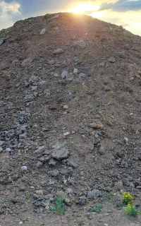 کودگوسفندی‌کهنه
