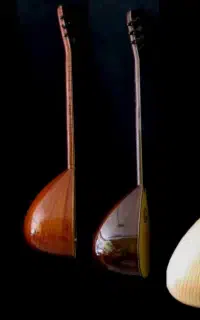 معلم موسیقی/آموزش دیوان - تار