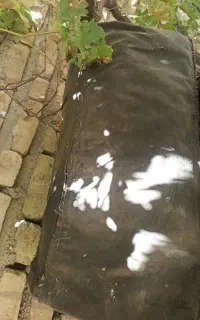 چادر نیسان