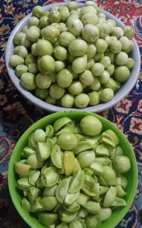 گورجه کال