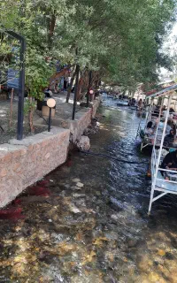 تور یک روزه سپیدان