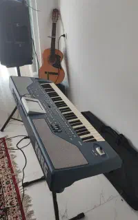 ارگ pa800