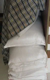 برنج هاشمی اصل