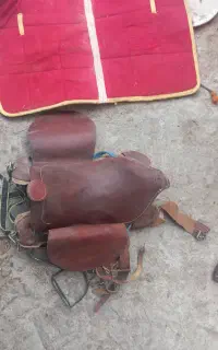 زین اسب