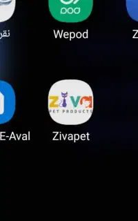 هدیه زیوا