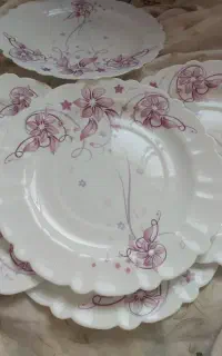 پلوخوری آرکوپال