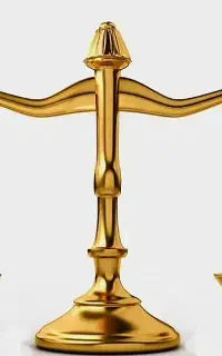 وکیل دادگستری، مشاور حقوقی