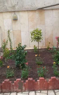 سمپاشی و باغبانی و هرستکاری در همه نقاط تهران