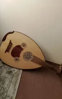 عود حرفه‌ای