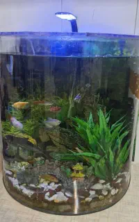 آکواریوم شرکتی شیک نیم دایره