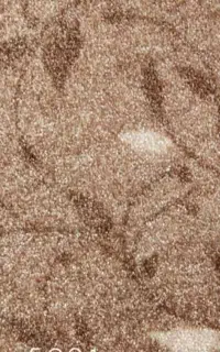 پالاز موکت