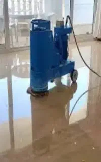 کفسابی و دیوار سابی حمیدرضا / تضمینی