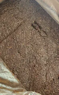 خمیر کشمش(پخش کشمش یکان بازار)