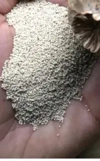 بذر