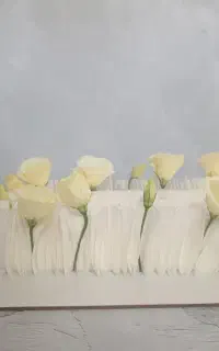 کیک خانگی