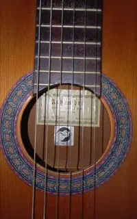 گیتار الحمرا C1