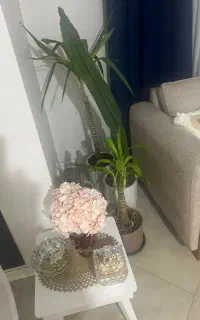 نیازمند نظافت چی خانم